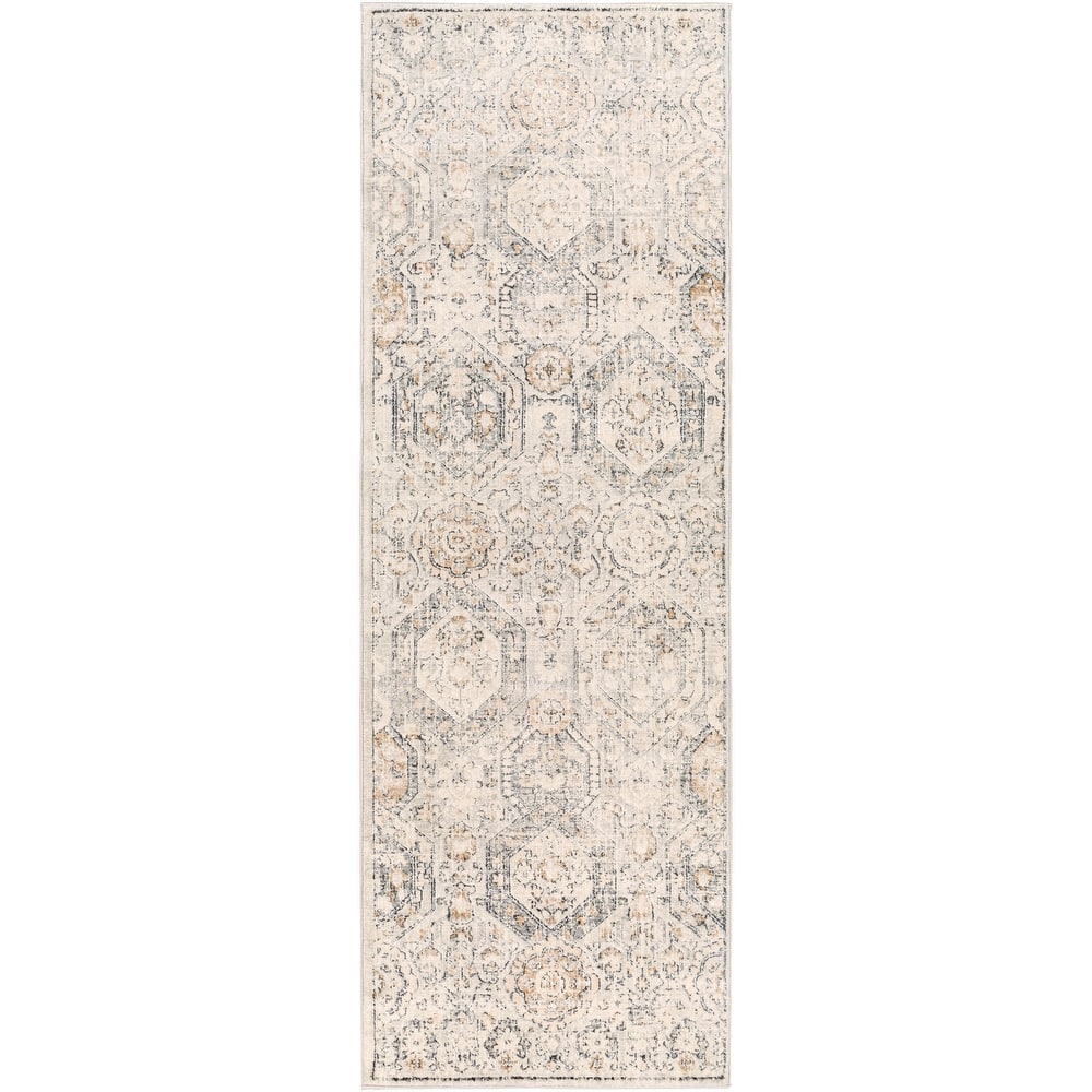 Livabliss Appingedam Vintage Medallion Area Rug