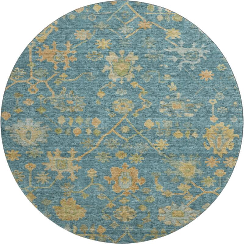 Premium Washable Super Soft Farmhouse Traditional Mayfield Rug