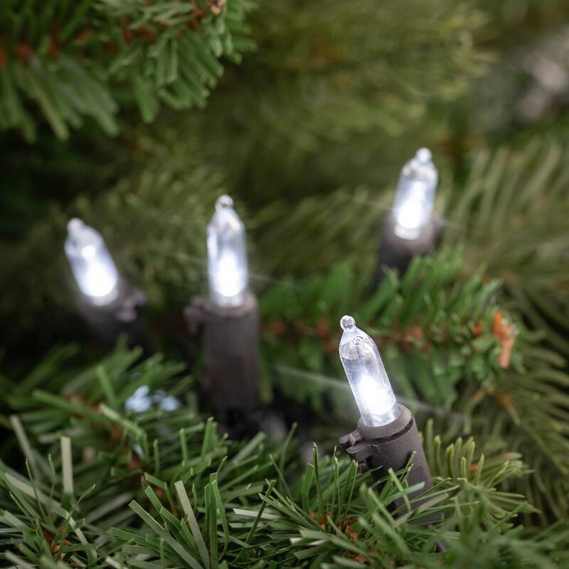LED Mini Christmas Lights - Pure White - 33' Black Wire - 100ct