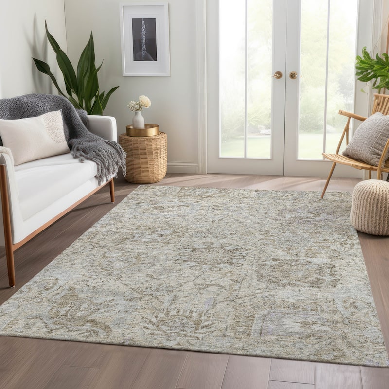 Machine Washable Indoor/ Outdoor Vintage Traditional Chantille Rug