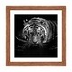 preview thumbnail 11 of 18, iCanvas "Tiger In Water, Black & White" by Lukas Holas PFA Walnut - 16x16x1