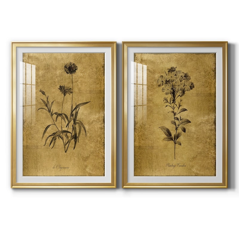 Gold Sketch Botanical I Premium Framed Print - Ready to Hang - 18.5X24.5 - Gold