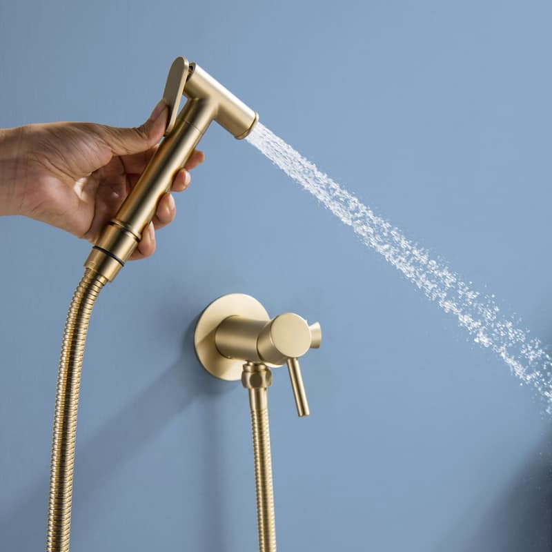 Wall Mounted Handheld Bidet Sprayer for Toilet Portable Pet Shower