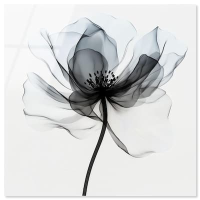 Midania II Acrylic by Art Remedy, Ready to Hang