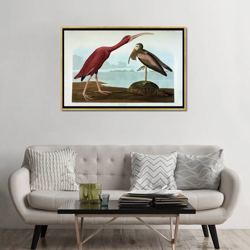 iCanvas "Scarlet Ibis " by John James Audubon Framed Canvas Print