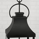 preview thumbnail 5 of 7, Bradford 4-light Outdoor Hanging Lantern
