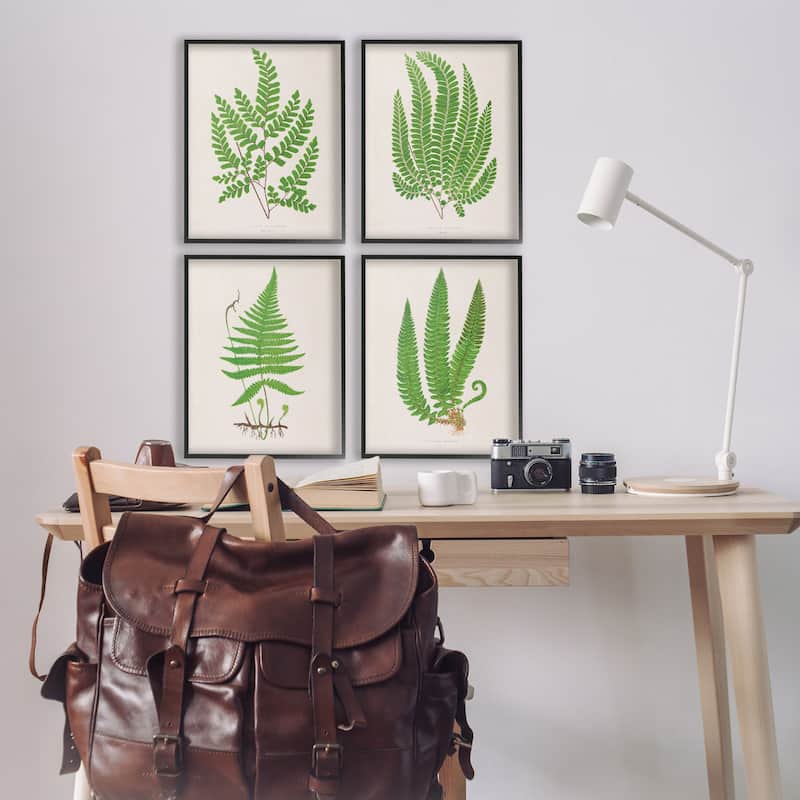 Stupell Subtle Green Fern Branches Framed Giclee Art Design By Phillipa Katz (Set of 4)