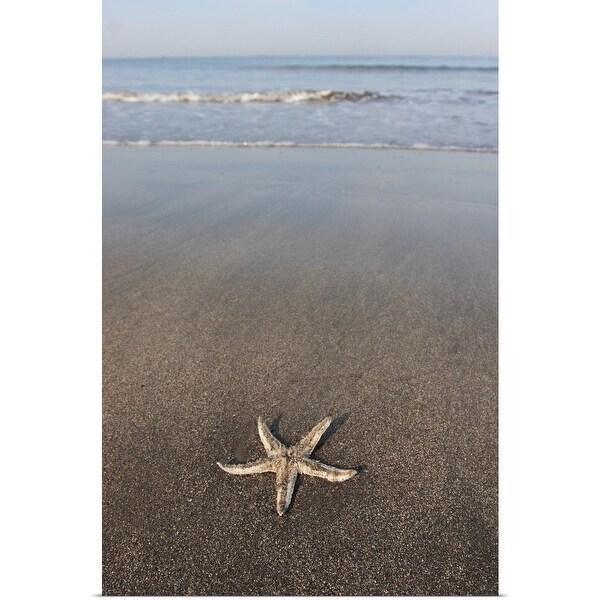 Shop Starfish On The Beach Multi Color Free Shipping On