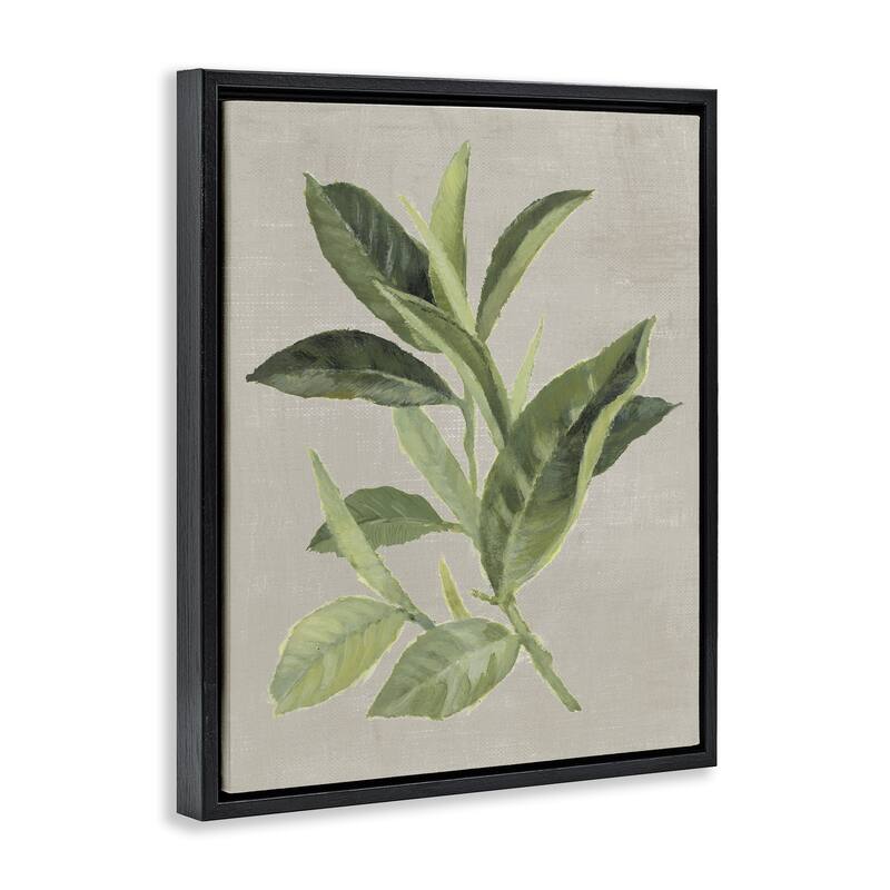 Stupell Green Tea Plant Leaf Framed Floater Canvas Wall Art Design By Lanie Loreth