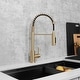 preview thumbnail 1 of 40, STYLISH Pull Down Kitchen Faucet with Water Filter Stainless Steel Brushed Gold