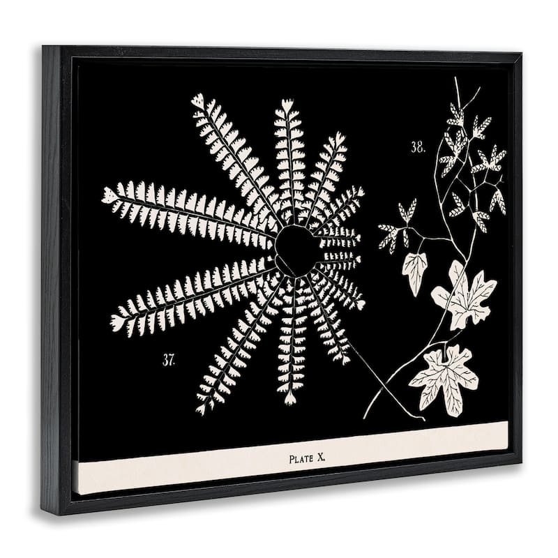 Stupell Ferns & Leaves on Black Framed Floater Canvas Wall Art Design By Phillipa Katz