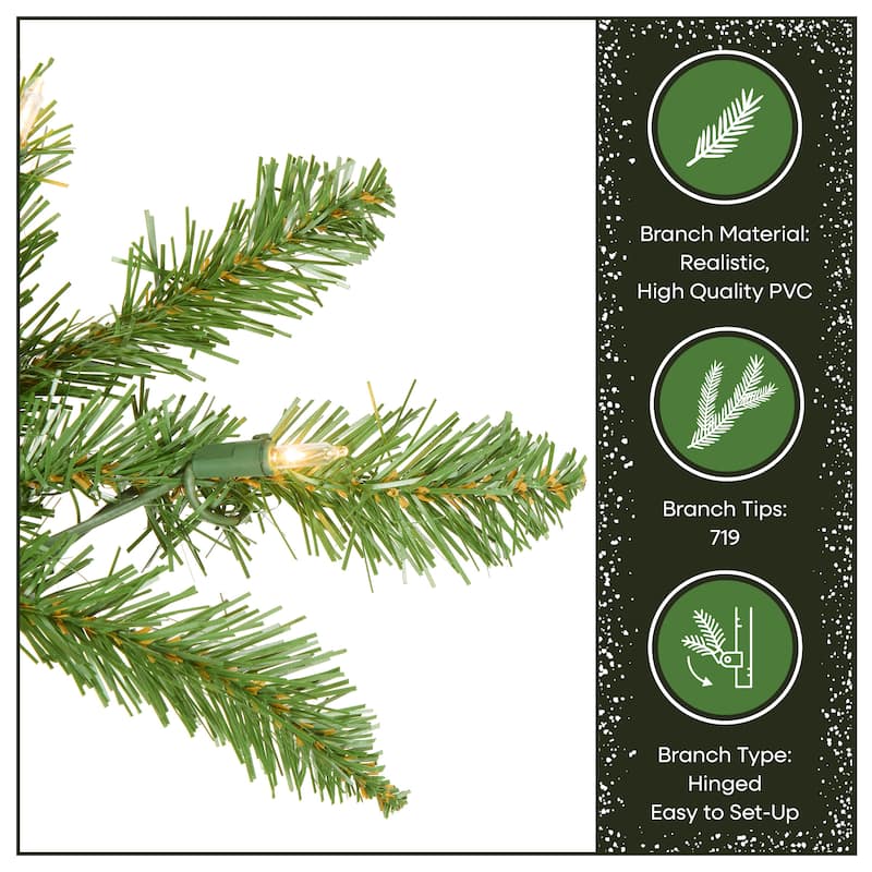 National Tree Company 3 ft. Kingswood Fir Pencil Tree with Clear Lights