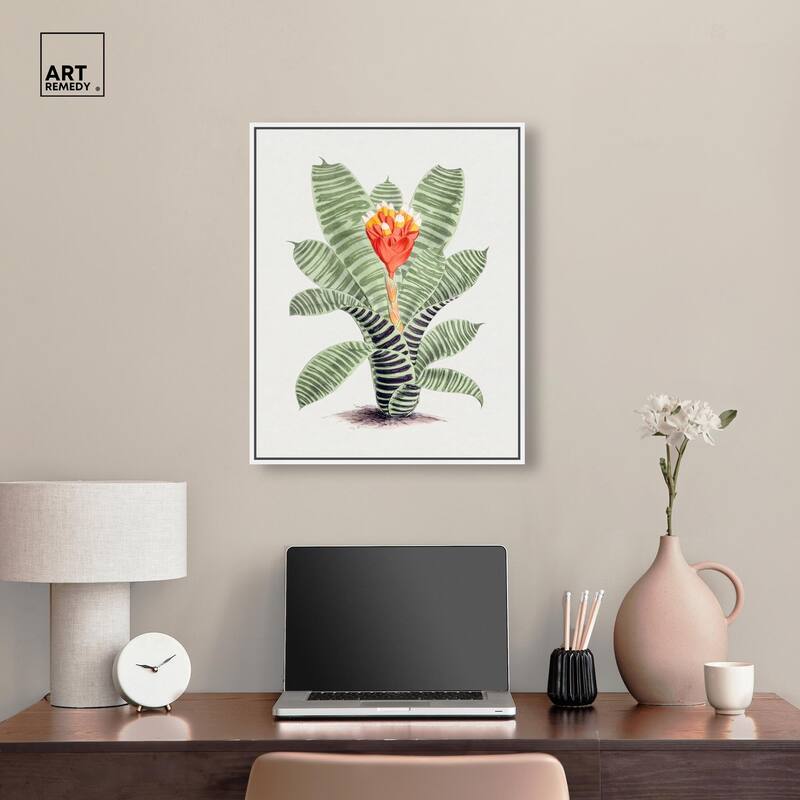 Tillandsia Musaica Plant Canvas by Art Remedy