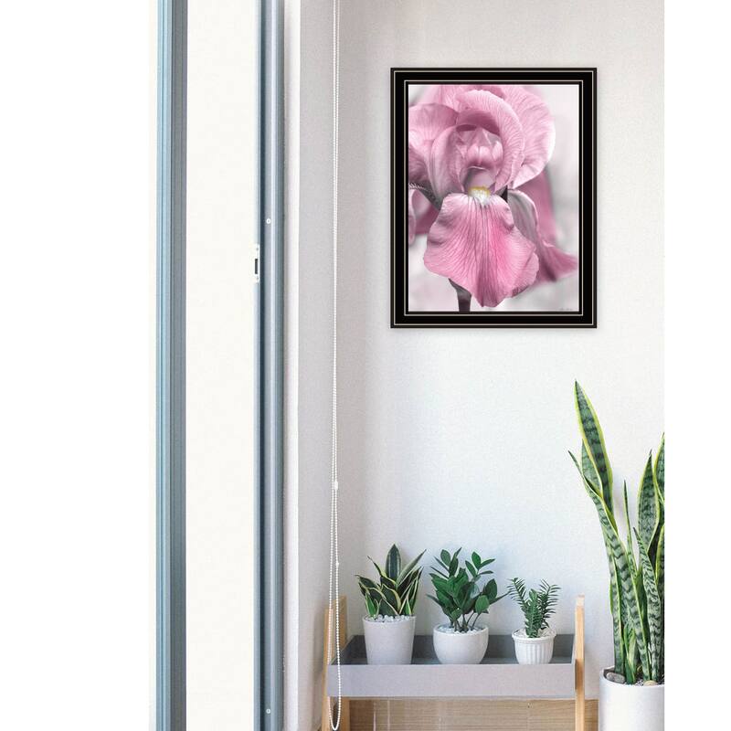 TrendyDecor4U "Pink Iris" Framed Print Wall Art