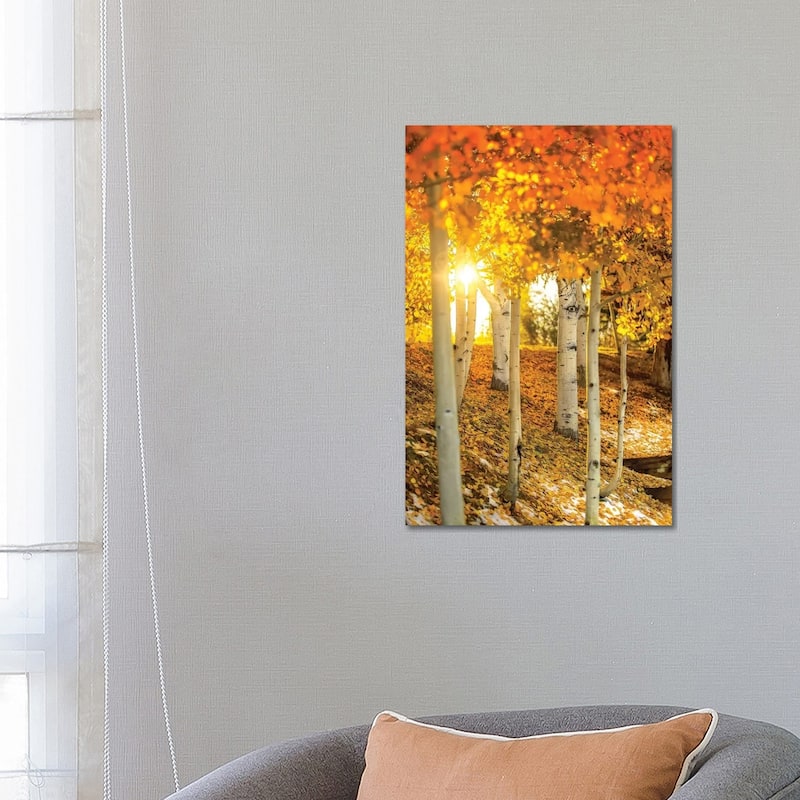 iCanvas "Sunburst Through The Aspens" by Jonathan Ross Photography Canvas Print - 26x18x1.5