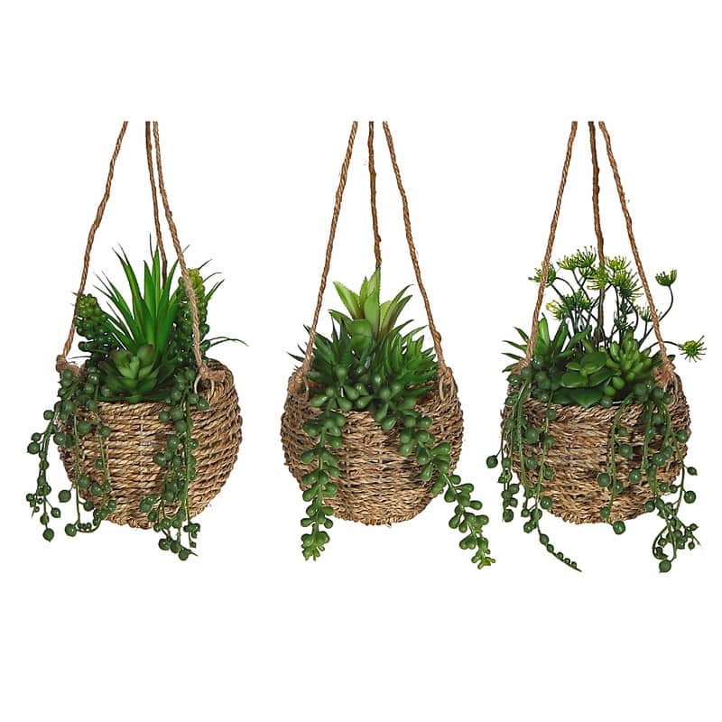 Artificial Succulents In Hanging Rope Pot (Asstd) - Set of 3 - White -  Overstock - 35571444
