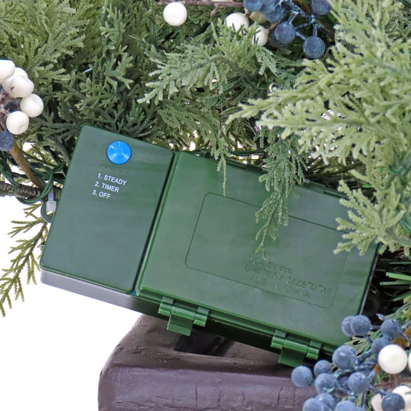 National Tree Company 4 ft. Cedar and Evergreen Porch Bush with LED Lights - Green - 48 in