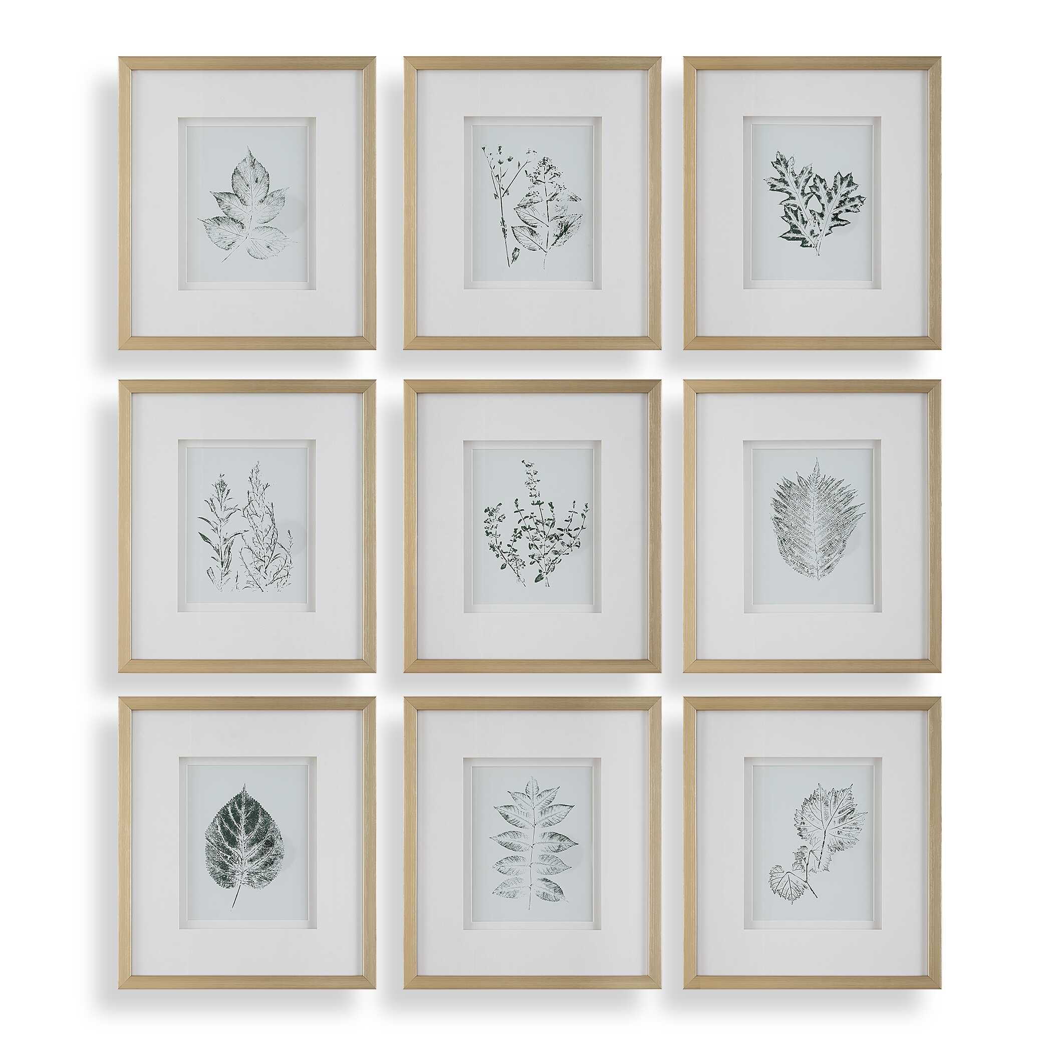Uttermost Nature's Script Framed Botanical Prints (Set of 9)