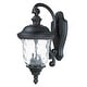 preview thumbnail 1 of 0, Carriage House VX 2-Light Outdoor Wall Lantern
