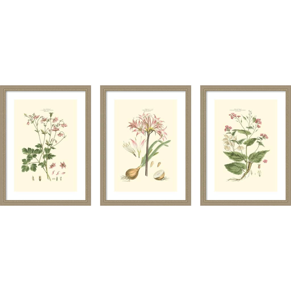 Small Blushing Pink Florals 3 Piece by John Miller Framed Wall Art Prints