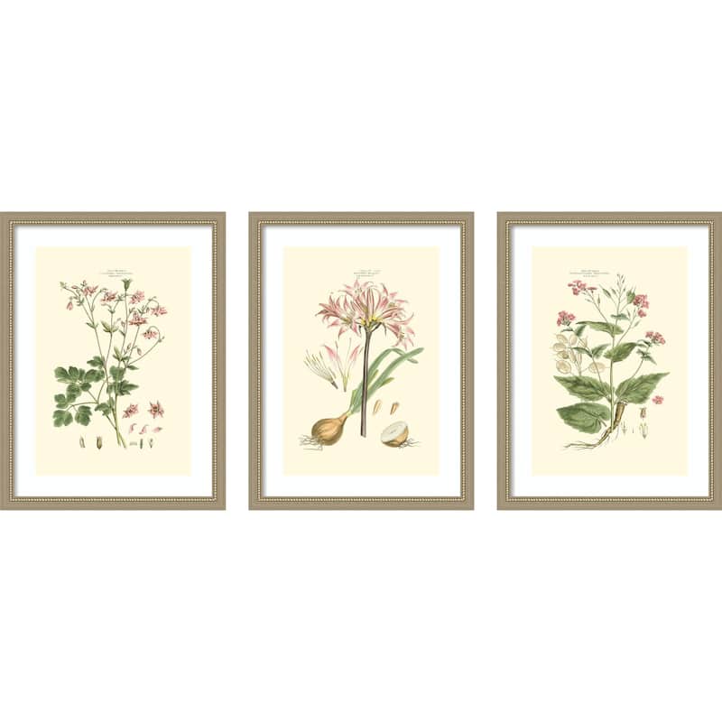 Small Blushing Pink Florals 3 Piece by John Miller Framed Wall Art Prints