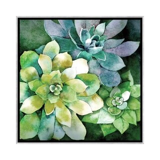 iCanvas "Summer Succulents" by Conrad Knutsen Framed - Bed Bath ...