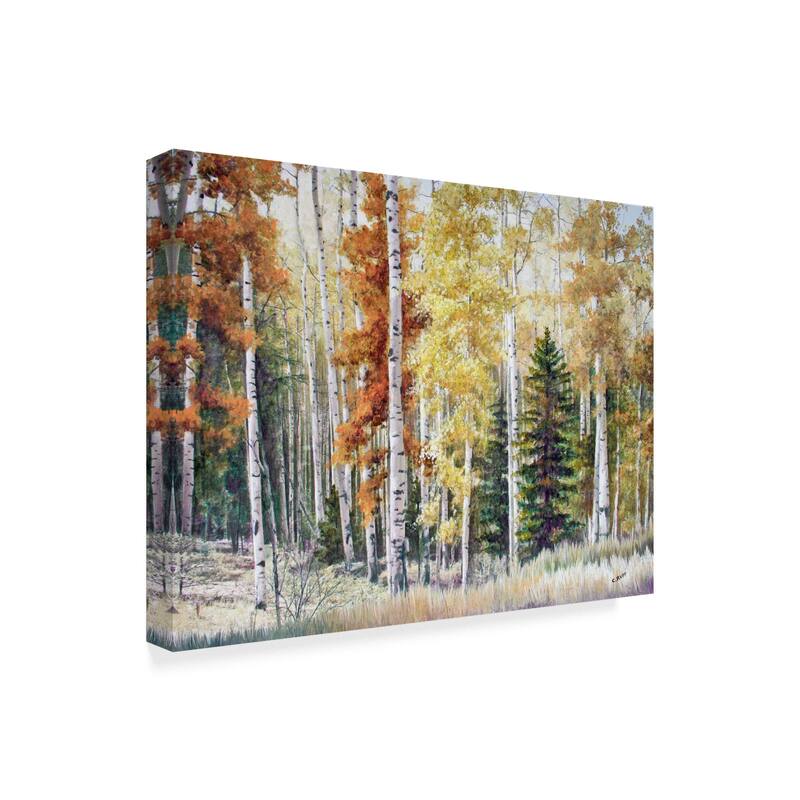 Carol J Rupp 'Angel Fire Aspens' Canvas Art