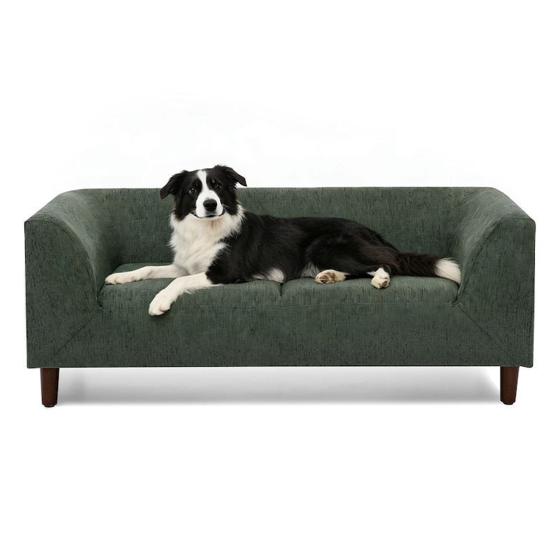 Modern rectangular Pet sofa with backrest and armrests
