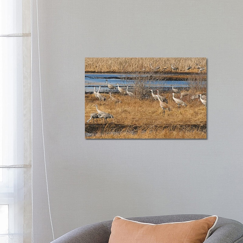 iCanvas "Sandhill Crane Migration" by Brian Wolf Canvas Print - 18x26x1.5