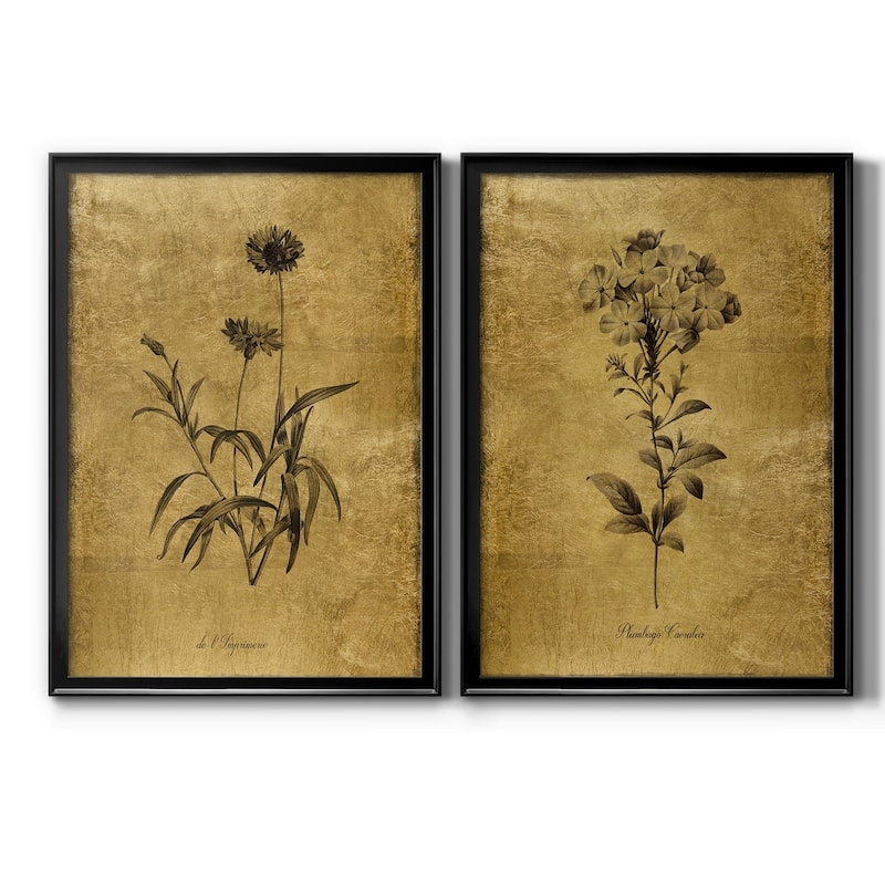 Gold Sketch Botanical I Premium Framed Print - Ready to Hang - Multi-Color - 18.5X24.5 - Black