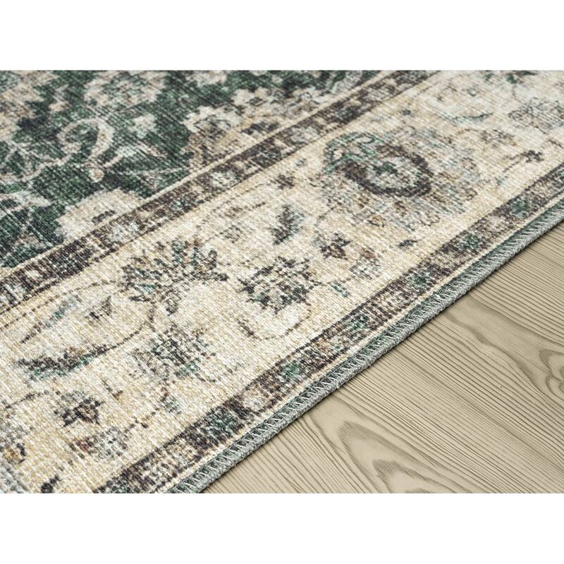 Legacy Cairo Traditional Bordered Washable Area Rug