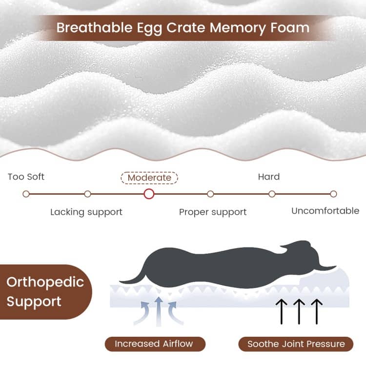 Orthopedic Dog Bed with Memory Foam Support for Large Dogs - 43"x 26" x 2"(L x W x H)
