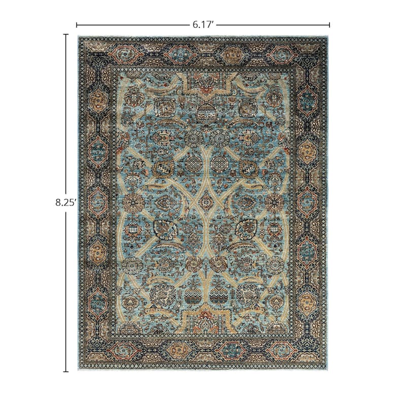 Serapi, One-of-a-Kind Hand-Knotted Area Rug - 6' 2" x 8' 3"