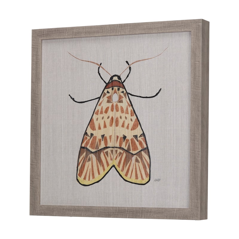 Moth I Framed Art Print