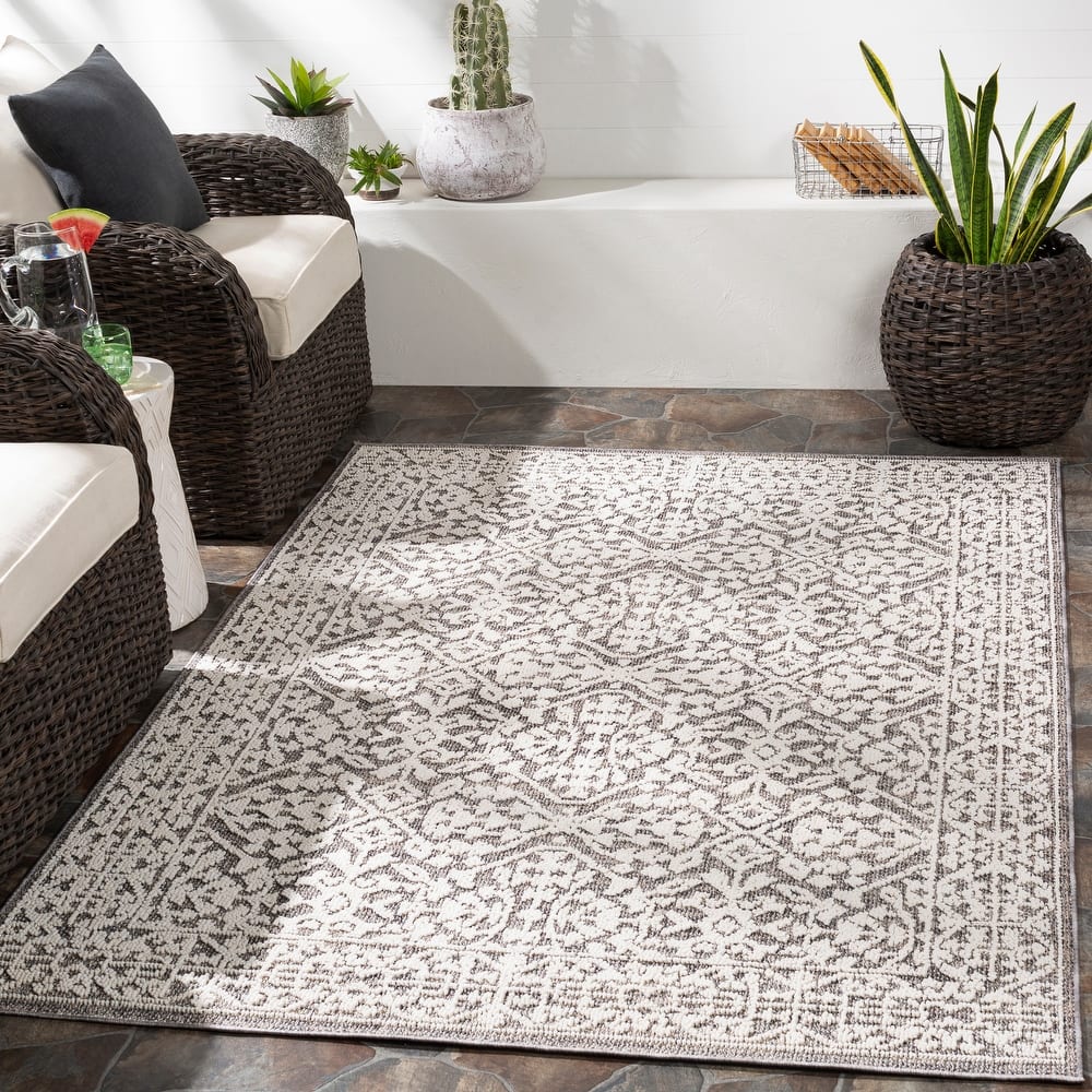 Hanks Indoor/ Outdoor Traditional Area Rug