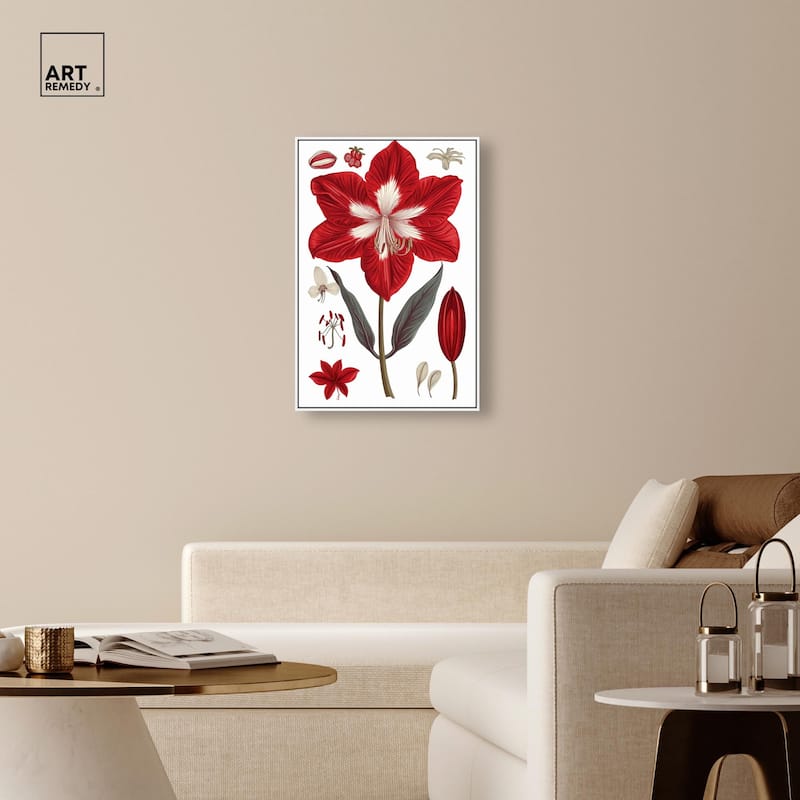 Amaryllis Anatomy Canvas by Art Remedy