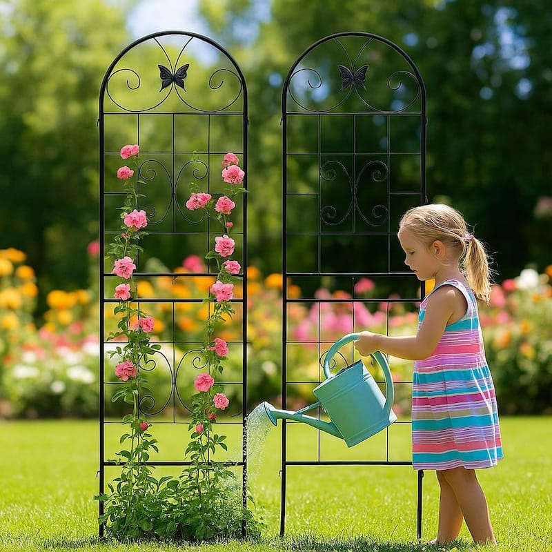 Metal Garden Trellis, 2 Pack Metal Trellis for Climbing Plants, Indoor/Outdoor Plant Trellis, Lawn Garden Fence Decor Screen