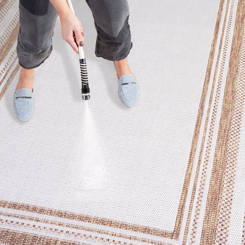 SAFAVIEH Beach House Annachiara Transitional Rug