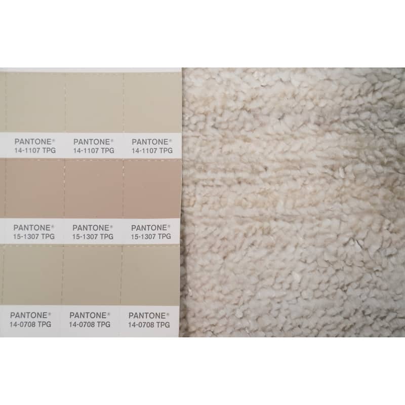 Hand Knotted Oriental Viscose Silk Carpet Tribal Animal Pictorial Beige & Ivories Gabbeh Runner Rug - 9' 9'' X 2' 6''