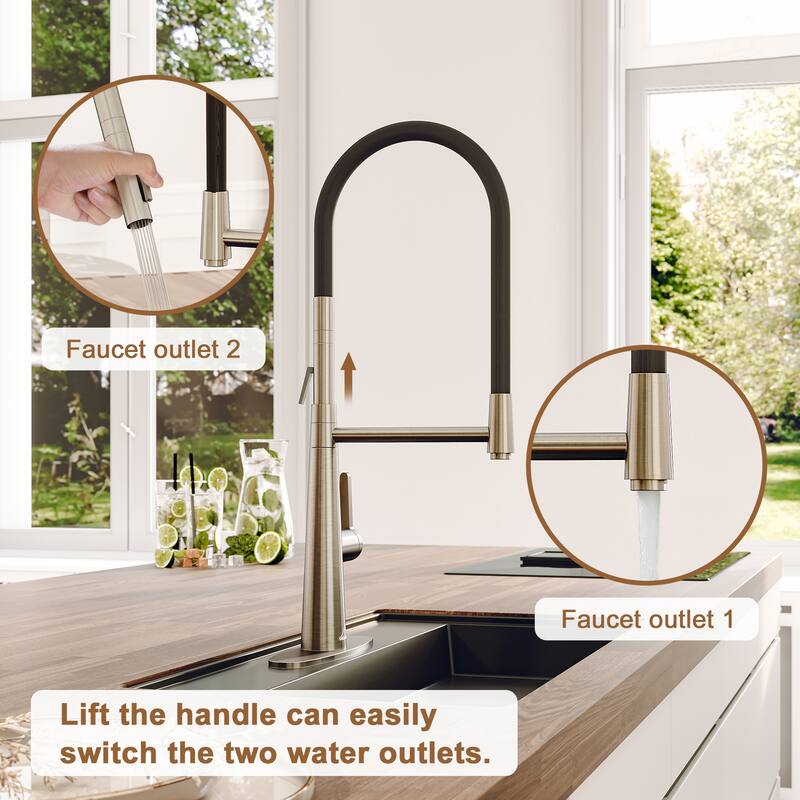 2 Mode 1.8 gpm Single Handle Kitchen Sink Faucet, Kitchen Faucet for Kitchen Sink