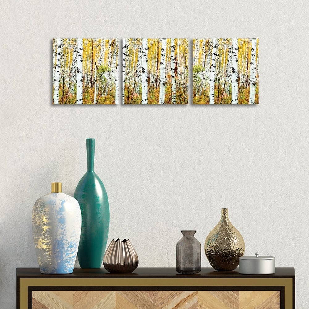 iCanvas "Aspen Trees Panorama ,Colorado" by Susanne Kremer 3-Piece Canvas Wall Art Set