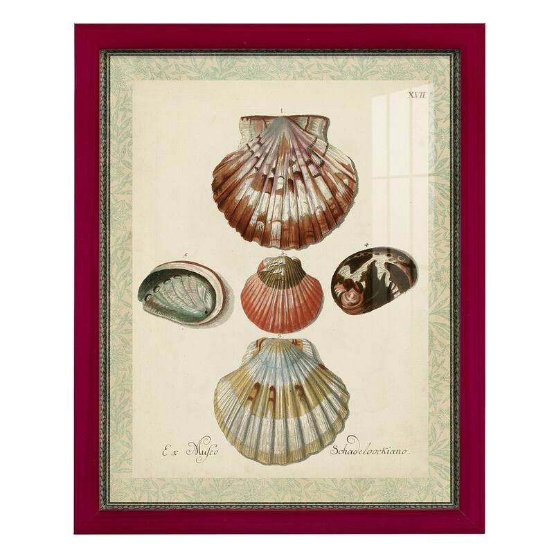 Bookplate Shells III -Framed Print w/glass-Cherry Red
