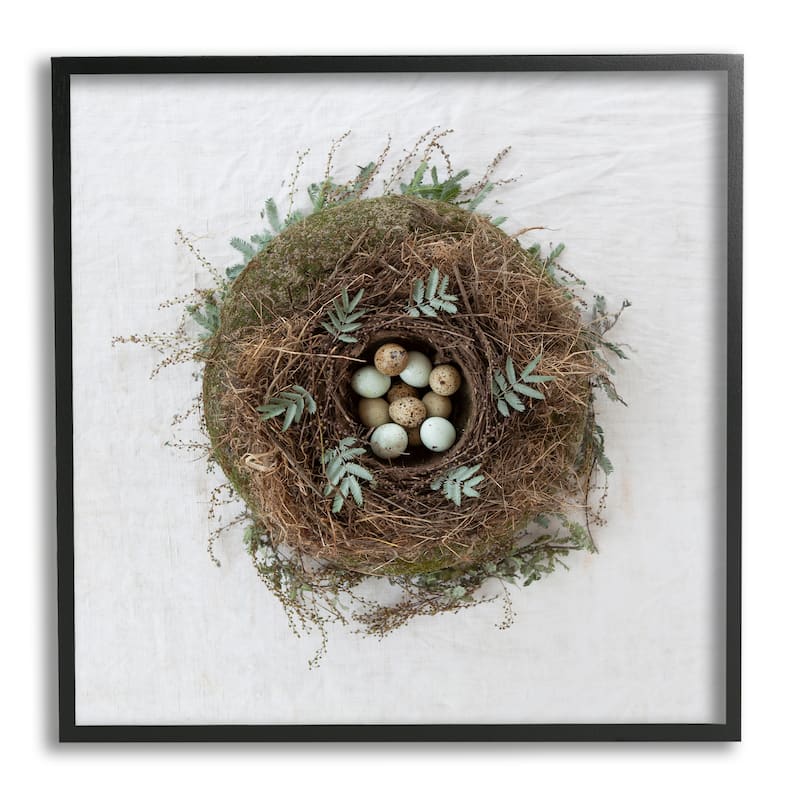 Stupell Peaceful Bird Nest Speckled Eggs Nature Photography Framed Wall Art, Design by Tania Soderman - Brown - 24 x 24 - Black