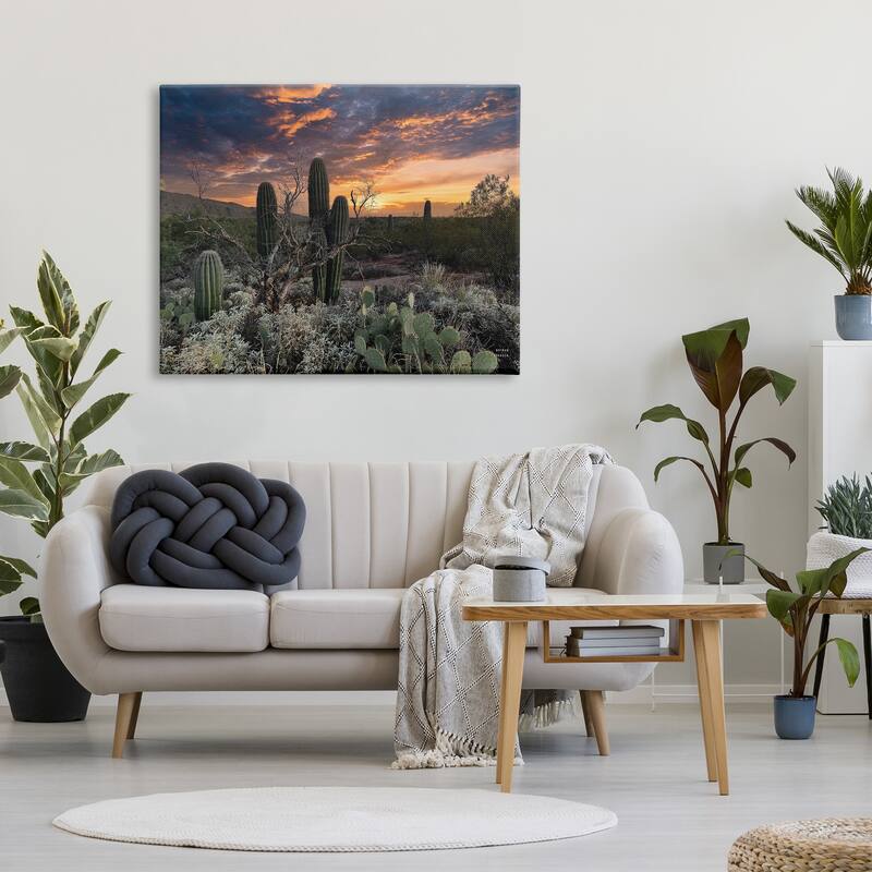 Stupell Arid Desert Cactus Sunset Stretched Canvas Wall Art, Design by Nathan Larson