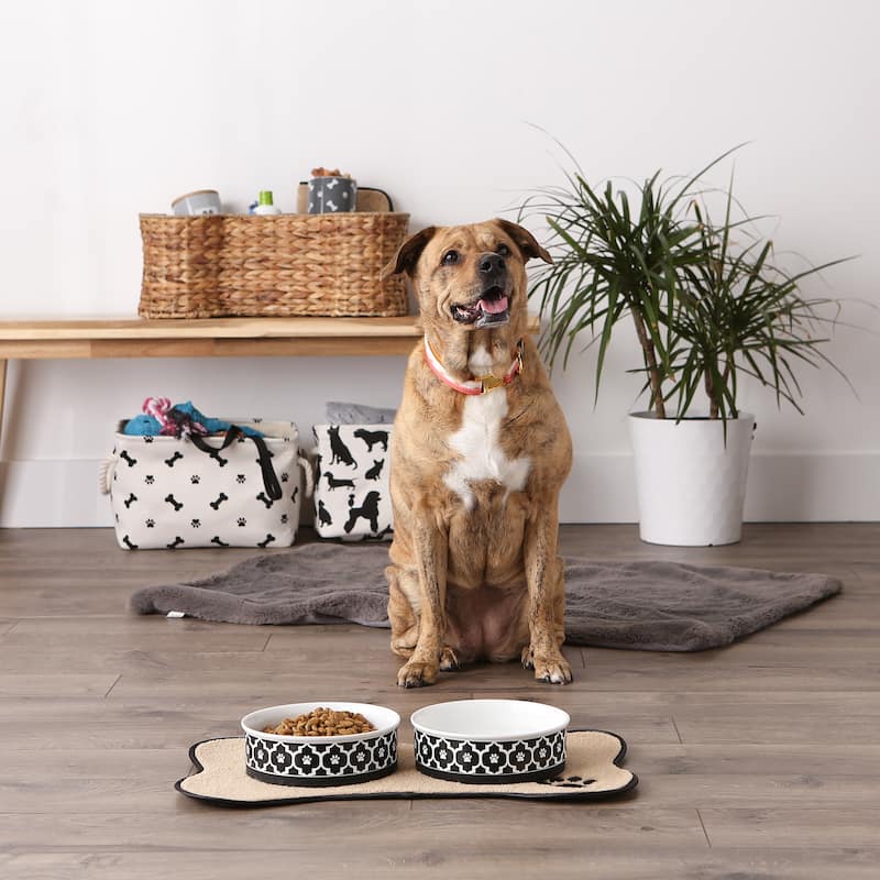 Bone Dry Lattice Pet Bowl (Set of 2)
