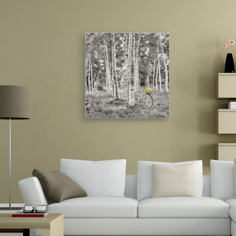 Sunflower Bicycle Ride by Alan Blaustein Canvas Art Print