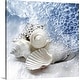 preview thumbnail 1 of 11, "Seashells washed ashore" Canvas Wall Art