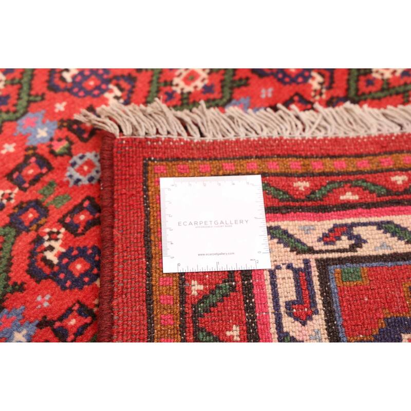 ECARPETGALLERY Hand-knotted Andelz Red Wool Rug - 2'11 x 10'0