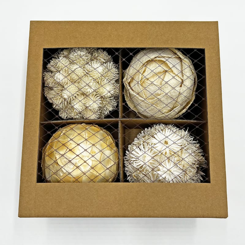 Preserved Decorative Conifer and Pinecone Topiary Balls - White - Set of 4