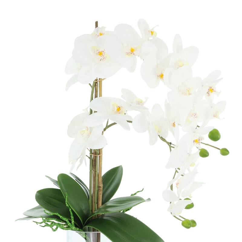 Orchids Arranged in Glass Vase with Rocks - 25